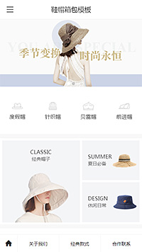 个性鞋帽箱包帽子 页面预览图