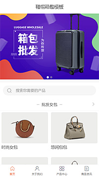 精品鞋帽箱包女包 页面预览图