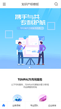 知识产权模板缩略图