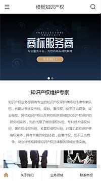 知识产权模板缩略图