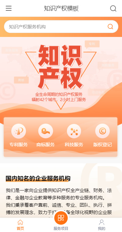 知识产权模板缩略图