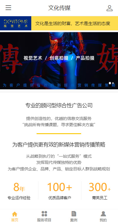 文化传媒模板缩略图