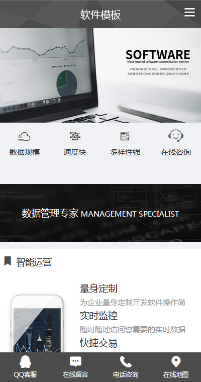 软件开发模板缩略图