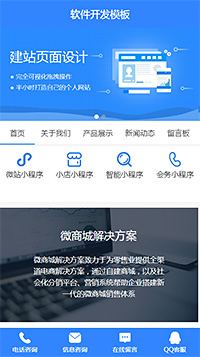 软件开发模板缩略图