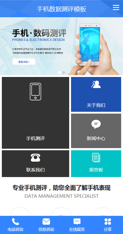 软件开发模板缩略图