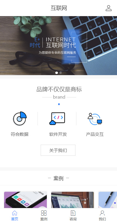 软件开发模板缩略图