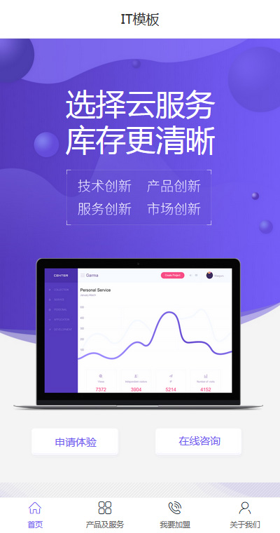 软件开发模板缩略图