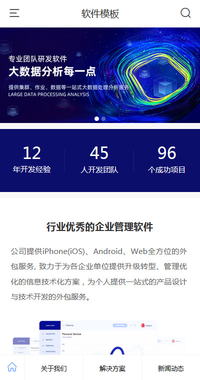 软件开发模板缩略图