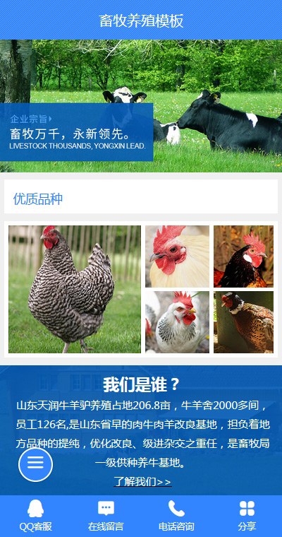 养殖牲畜模板缩略图