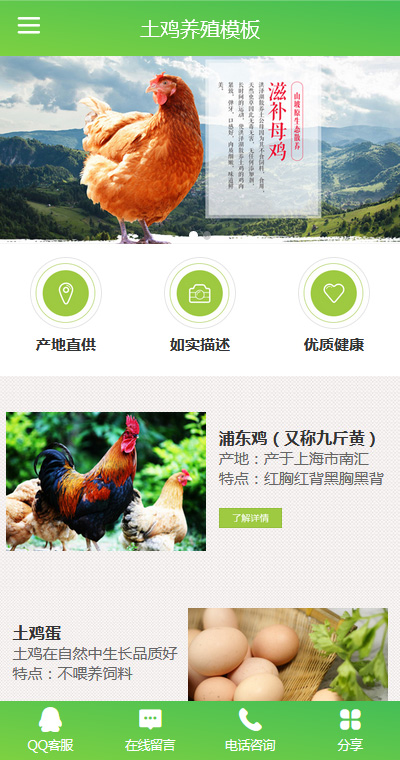 养殖牲畜模板缩略图