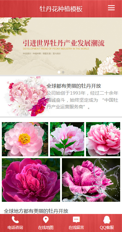 育苗种植模板缩略图
