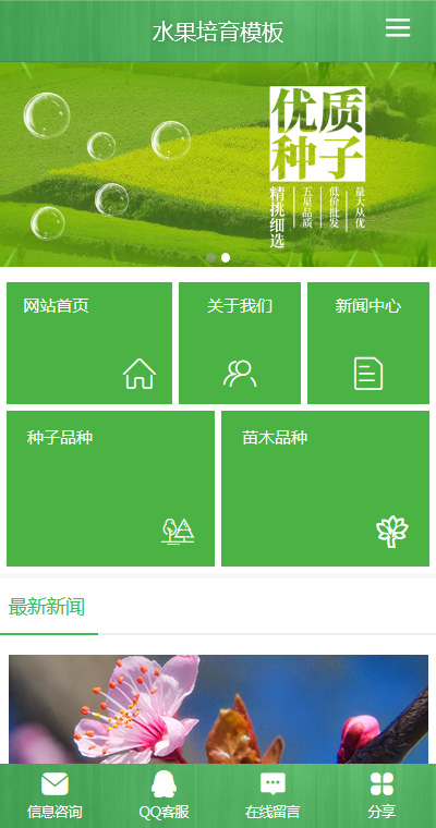 育苗种植模板缩略图