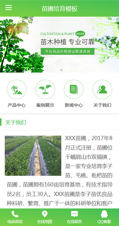 育苗种植模板缩略图