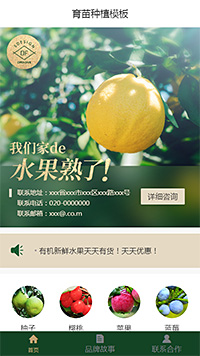 育苗种植模板缩略图