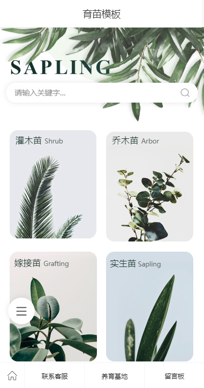 育苗种植模板缩略图