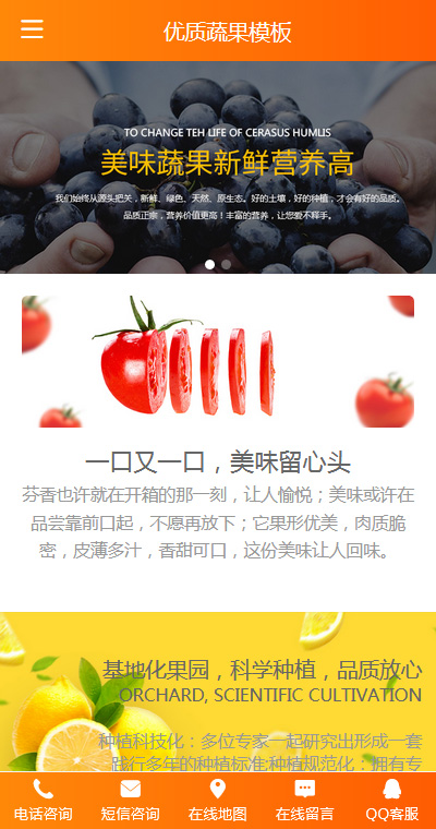 蔬果生鲜模板缩略图
