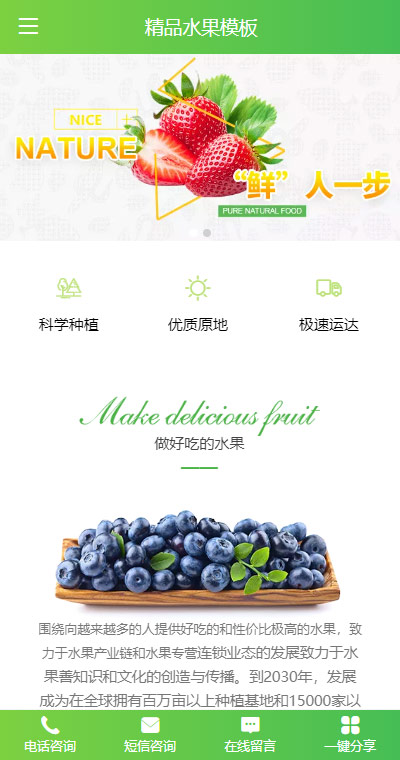蔬果生鲜模板缩略图