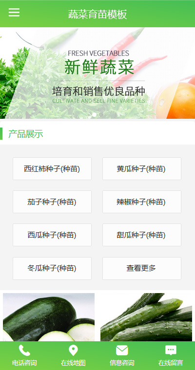 蔬果生鲜模板缩略图