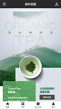 茶叶茶饮模板缩略图