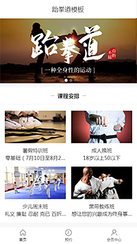 格斗武道模板缩略图