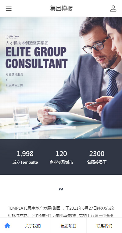 企业集团模板缩略图