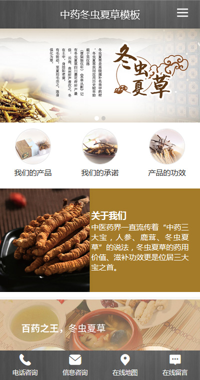 中医理疗模板缩略图