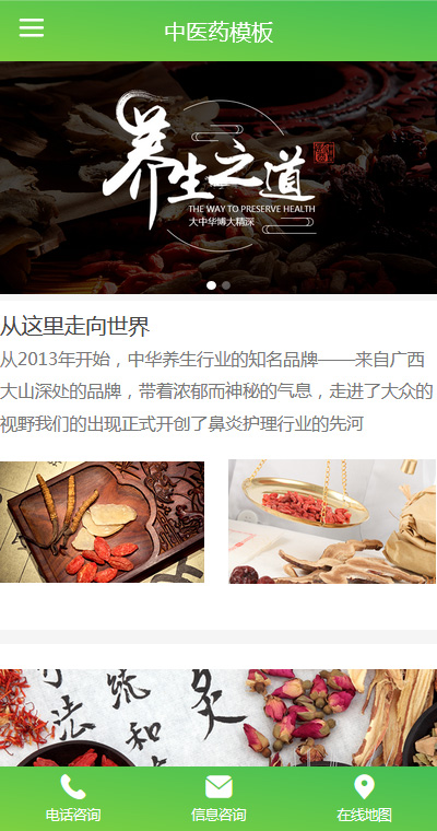 中医理疗模板缩略图