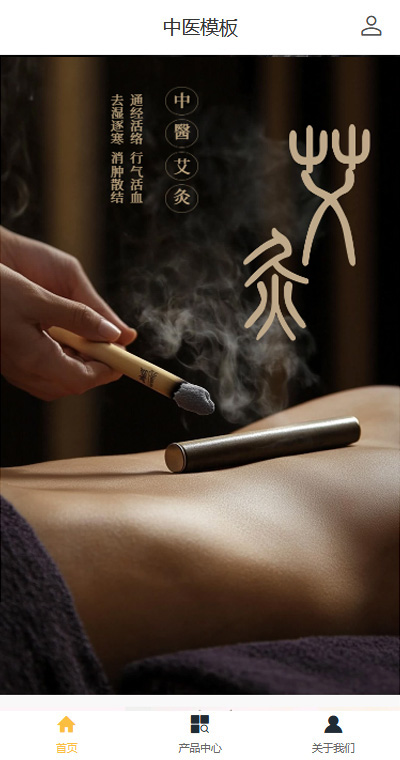 中医理疗模板缩略图