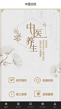 中医理疗模板缩略图